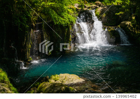 Beautiful scenery of Kikuchi Gorge when it was fresh green Beautiful scenery of Kikuchi Gorge when it was fresh green 139965402