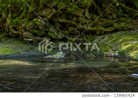 翠綠時的菊池峽美景 翠綠時的菊池峽美景 139965424