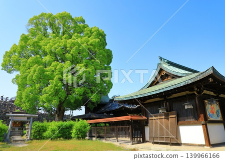 奈良縣大及郡山市、郡山城跡、柳澤神社 139966166