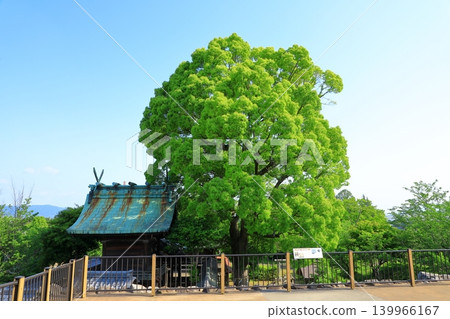 奈良縣大及郡山市、郡山城跡、柳澤神社 奈良縣大及郡山市、郡山城跡、柳澤神社 139966167