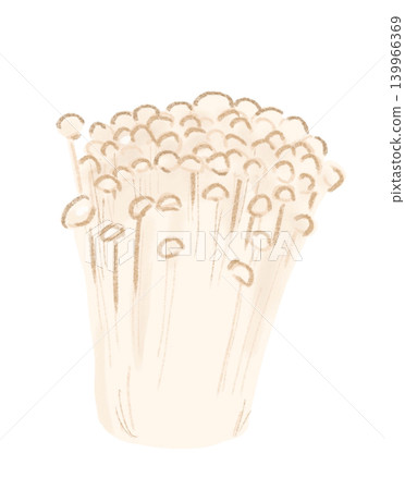 金針菇插圖 139966369