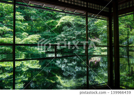 Fresh greenery and maple leaves at Rurikoin Temple Fresh greenery and maple leaves at Rurikoin Temple 139966439