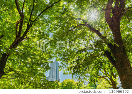 許多綠色辦公室街道風景 139966502