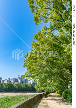 從京橋川岸邊，綠樹成蔭，藍天白雲下可以看到住宅區。 139966503