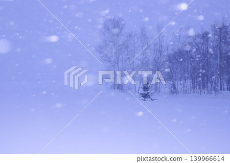 冬日森林景色，雪花飄落。 139966614
