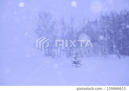 A quiet forest scene in snowy winter A quiet forest scene in snowy winter 139966615