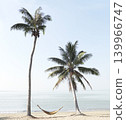 A bamboo hammock between lush green coconut trees on the beach by the sea. 139966747
