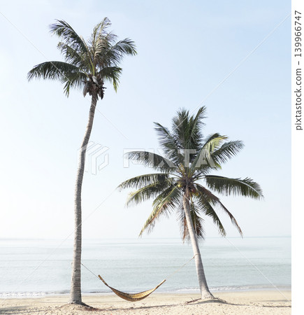 A bamboo hammock between lush green coconut trees on the beach by the sea. A bamboo hammock between lush green coconut trees on the beach by the sea. 139966747