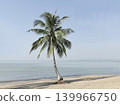 Green coconut trees on the beach by the sea. 139966750