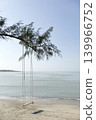 A wooden swing hanging under a pine tree on the beach by the sea. 139966752