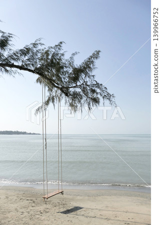 A wooden swing hanging under a pine tree on the beach by the sea. 139966752
