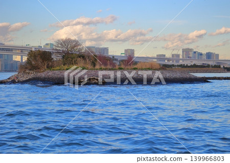 從海上看到的防波堤“鳥島” 從海上看到的防波堤“鳥島” 139966803