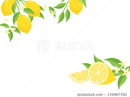 Cut lemons with flowers and branches in a diagonal frame Cut lemons with flowers and branches in a diagonal frame 139967392