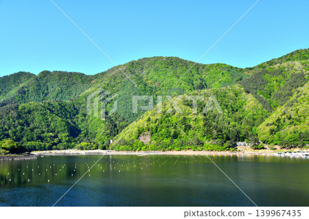 Shojiko Lakeshore (Fujikawaguchiko Town, Yamanashi Prefecture) [May 2026] 139967435