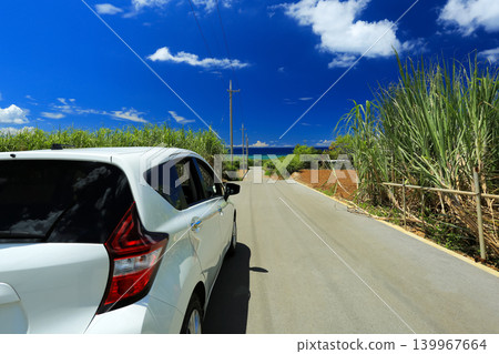 Okinawa: A single road through sugarcane fields leading to the sea. Okinawa: A single road through sugarcane fields leading to the sea. 139967664