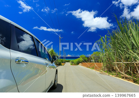 沖繩:一條穿過甘蔗田通往大海的公路。 沖繩:一條穿過甘蔗田通往大海的公路。 139967665