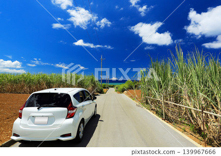 沖繩:一條穿過甘蔗田通往大海的公路。 沖繩:一條穿過甘蔗田通往大海的公路。 139967666