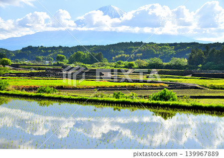 View of Mt. Fuji from Kamiyuno, Fujinomiya City (Fujinomiya City, Shizuoka Prefecture) [May 2026] 139967889