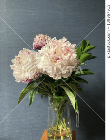 Peony 139967915