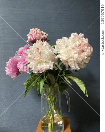 Peony 139967916