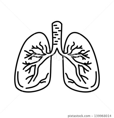 human lungs organ illustration human lungs organ illustration 139968014