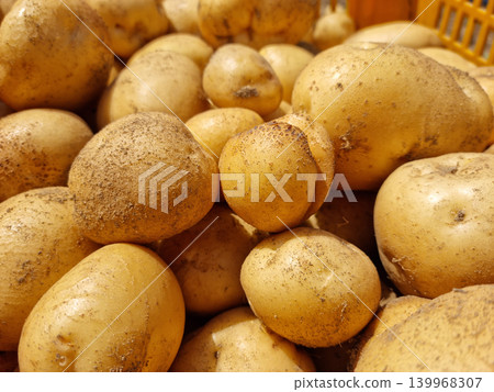 potato potato 139968307
