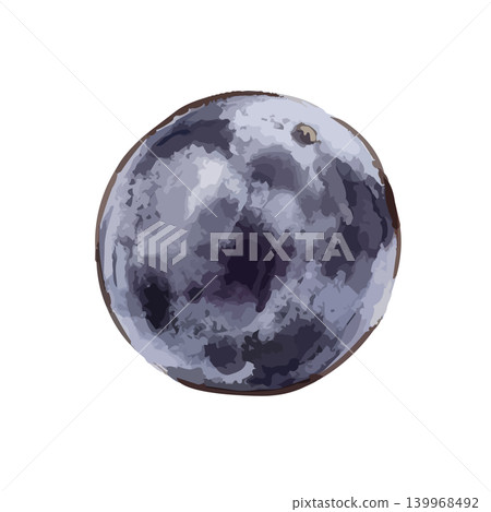 An illustration of grapes (Kyoho variety) with a juicy feel. An illustration of grapes (Kyoho variety) with a juicy feel. 139968492