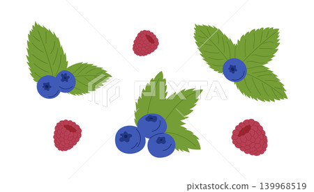 Set of blueberries and raspberries with green leaves 139968519