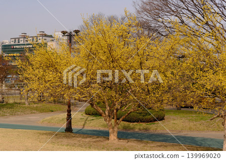 世界遺產:水原華城,世博公城 世界遺產:水原華城,世博公城 139969020