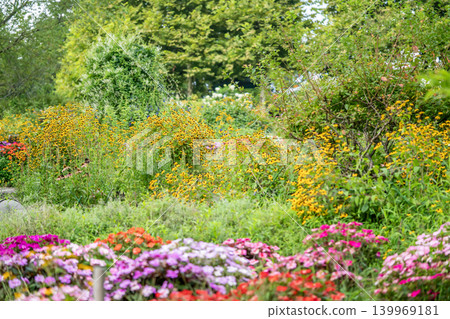 Colorful flower garden Colorful flower garden 139969181