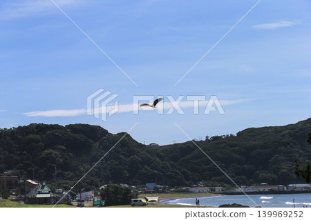 Tadara Kitahama Beach in summer Tadara Kitahama Beach in summer 139969252