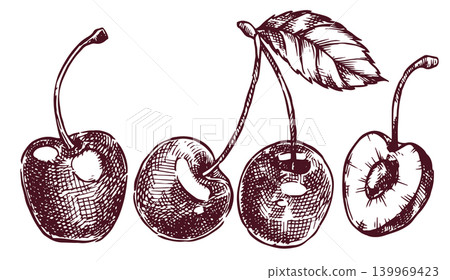 Set of cherries. Vector illustration in vintage sketch style. Set of cherries. Vector illustration in vintage sketch style. 139969423