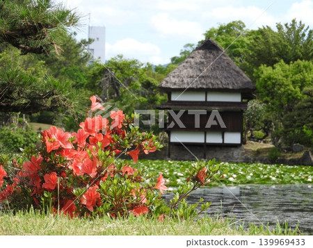 Shurakuen, a strolling-style Japanese garden in Tsuyama City, Okayama Prefecture: Fugetsu-ken pavilion beyond the azaleas. Shurakuen, a strolling-style Japanese garden in Tsuyama City, Okayama Prefecture: Fugetsu-ken pavilion beyond the azaleas. 139969433