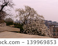 The Great Wall of China in Korea 139969853