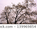 The Great Wall of China in Korea 139969854