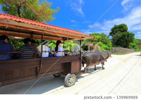 [Okinawa Prefecture] Taketomi Tourist Center on a clear day (water buffalo cart) 139969989