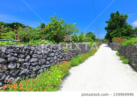 [Okinawa Prefecture] A clear day in the alleyway of Taketomi Island, lined with houses featuring red tile roofs. 139969996