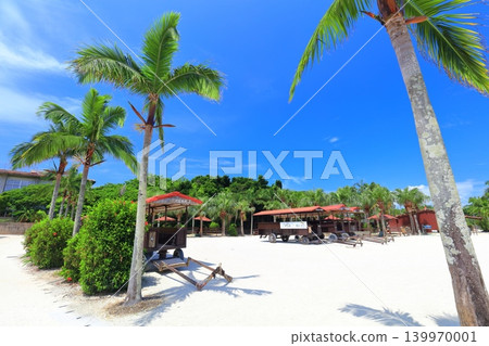 [Okinawa Prefecture] Taketomi Tourist Center on a clear day (water buffalo cart) 139970001