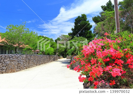 [Okinawa Prefecture] A clear day in the alleyway of Taketomi Island, lined with houses featuring red tile roofs. 139970032