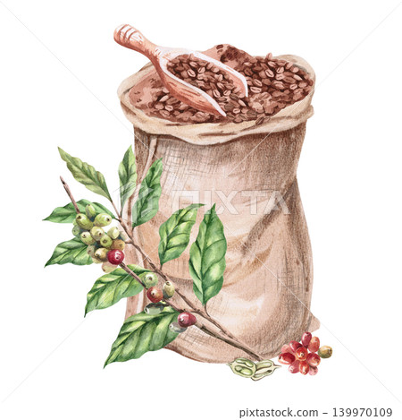 A bag of coffee beans, a wooden shovel, and branches of ripening coffee. This isolated watercolor illustration is suitable for cafe design, postcards, packaging, magazines, and branding. A bag of coffee beans, a wooden shovel, and branches of ripening coffee. This isolated watercolor illustration is suitable for cafe design, postcards, packaging, magazines, and branding. 139970109