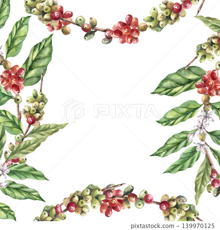 A square frame with branches of ripening coffee. Isolated watercolor illustration. Ideal for branding, advertising, cafe menus, culinary websites, and interior design. A square frame with branches of ripening coffee. Isolated watercolor illustration. Ideal for branding, advertising, cafe menus, culinary websites, and interior design. 139970125