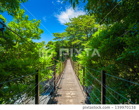 Kadowaki Suspension Bridge, spanning the forest of Jogasaki Coast in Izu (Ito City, Shizuoka Prefecture) Kadowaki Suspension Bridge, spanning the forest of Jogasaki Coast in Izu (Ito City, Shizuoka Prefecture) 139970138