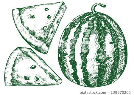 Juicy watermelon. Vector illustration in vintage sketch style. Juicy watermelon. Vector illustration in vintage sketch style. 139970203