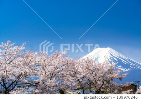 富士山和盛開的櫻花-來自富士吉田市 富士山和盛開的櫻花-來自富士吉田市 139970246