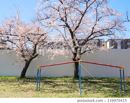A scene of playground equipment and cherry trees in a city park. 139970415