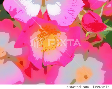 Rose (Azumino, afr20260515051108) Rose (Azumino, afr20260515051108) 139970516