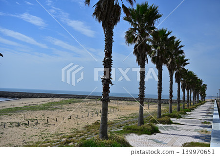 Road to the sea Road to the sea 139970651