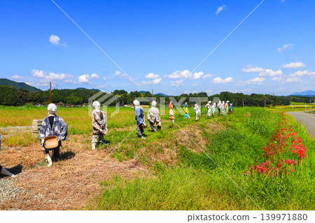 Unique scarecrows line the countryside where spider lilies bloom. 139971880