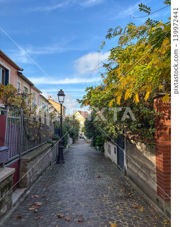 Mouzaia cobblestone alley with blooming greenery in Paris 19th France Mouzaia cobblestone alley with blooming greenery in Paris 19th France 139972441