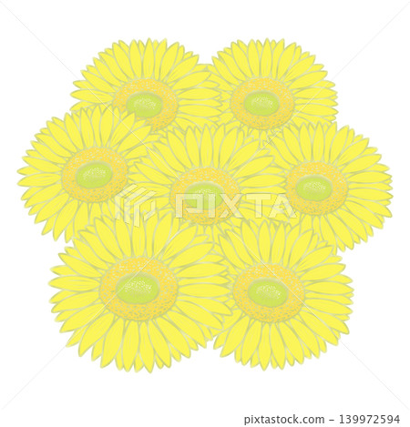 Illustration of sunflower Illustration of sunflower 139972594
